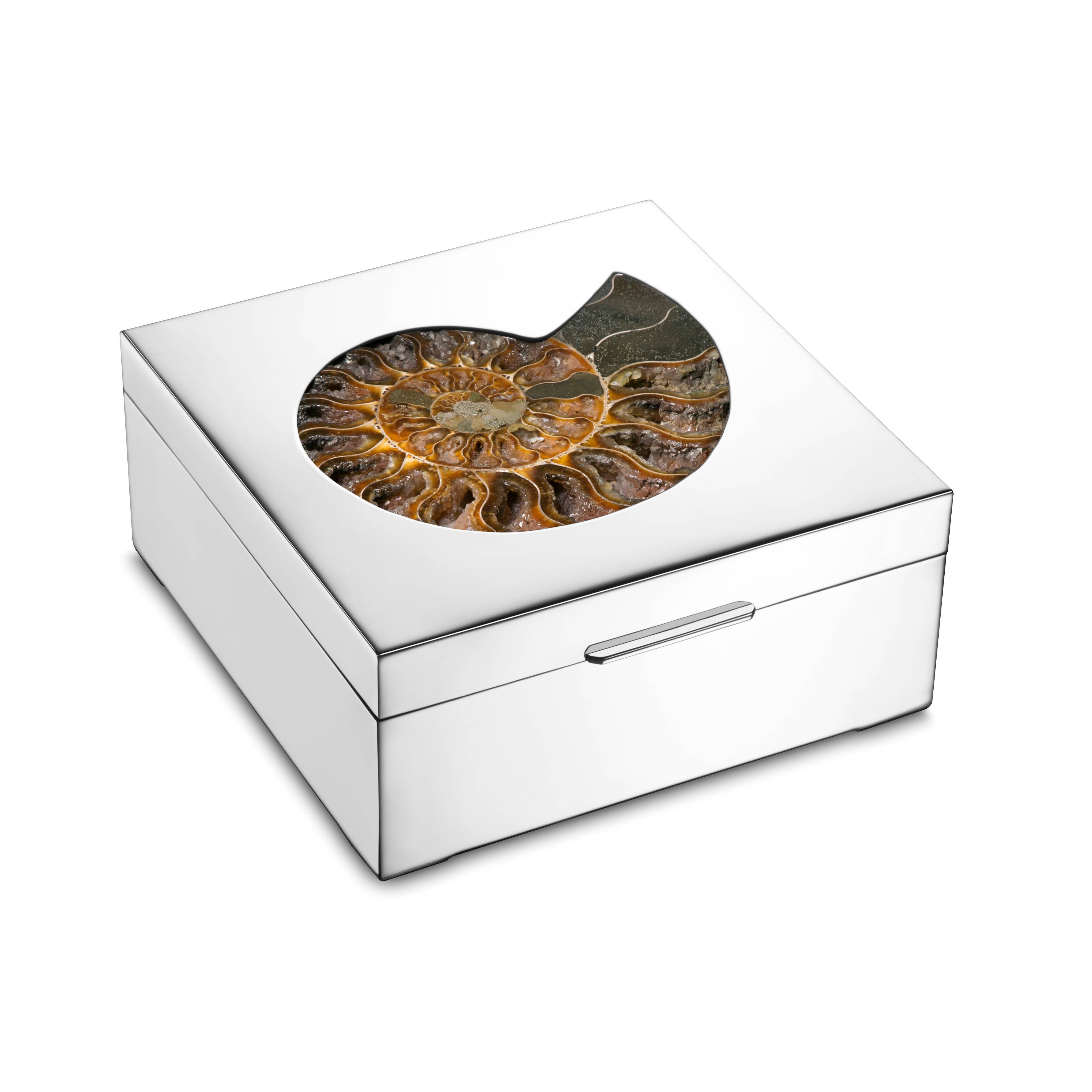 Handmade 925 sterling silver box with fossil shell (ammonite) and wooden interior